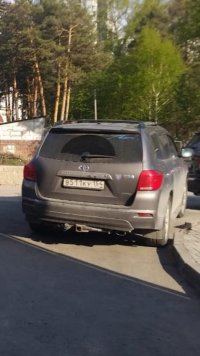 10071914.jpg